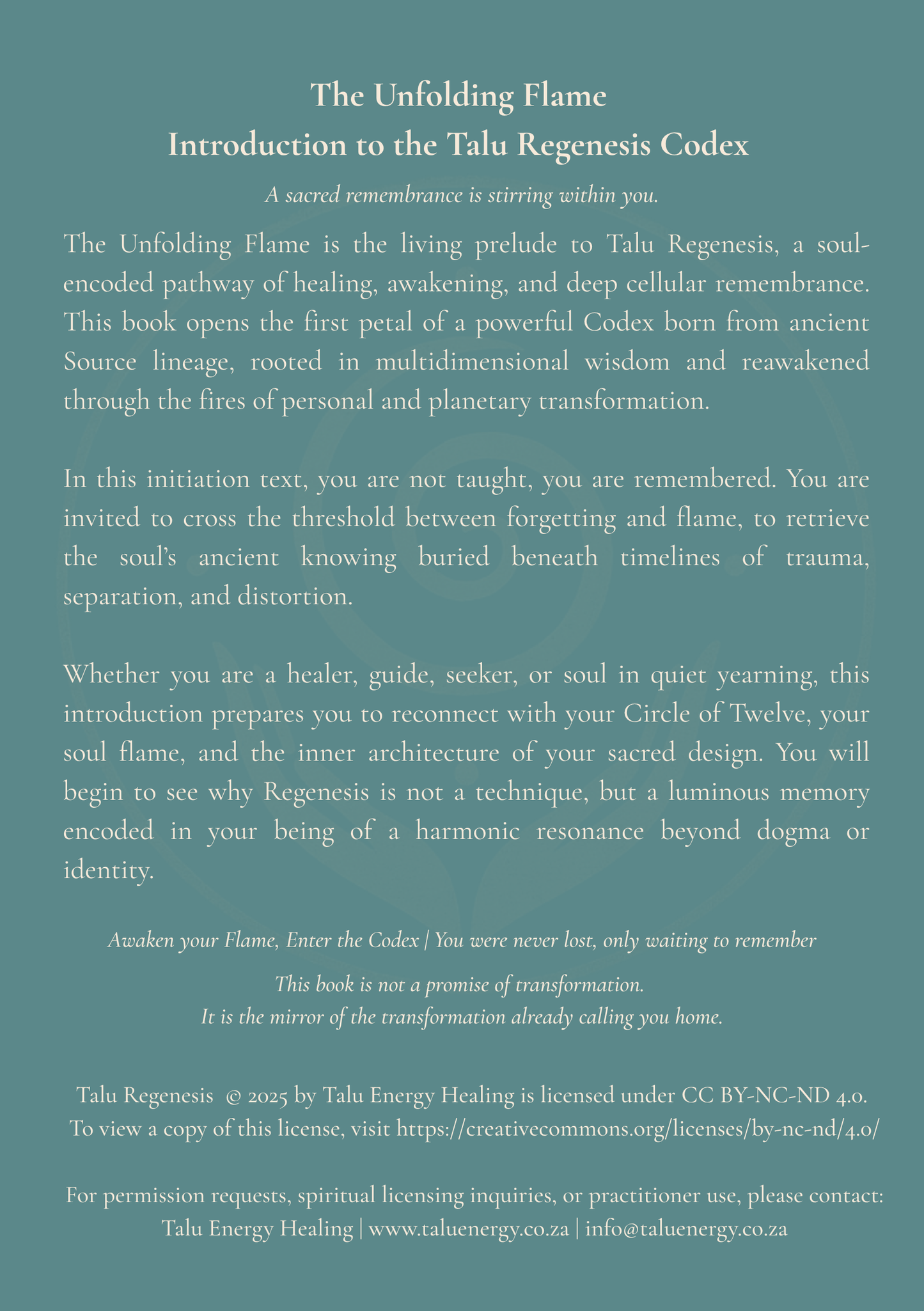Talu Regenesis - The Unfolding Flame - Digital Download